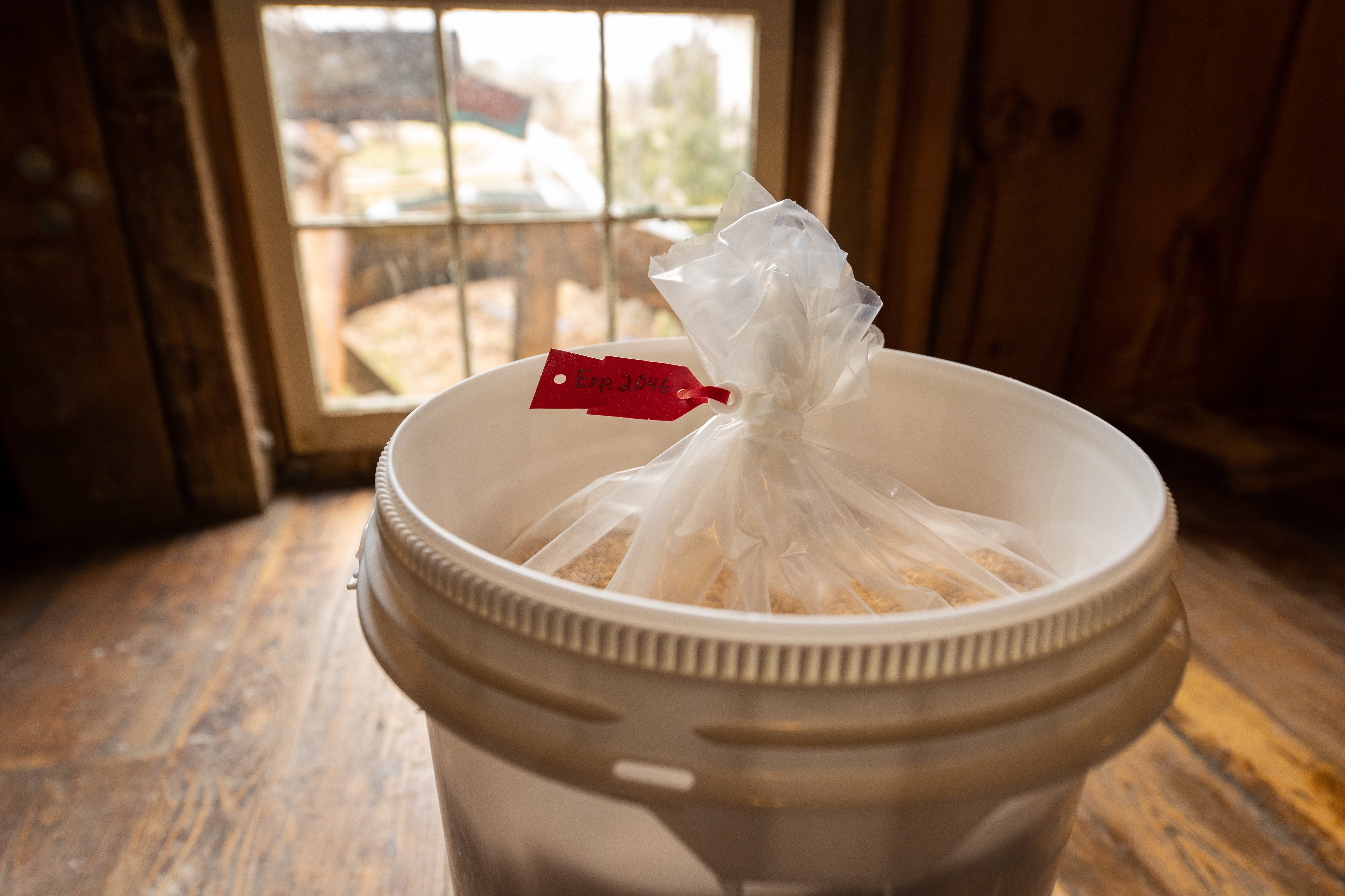 Organic, NON-GMO, Wheat Berries Emergency Bulk Bucket – Homestead Gristmill